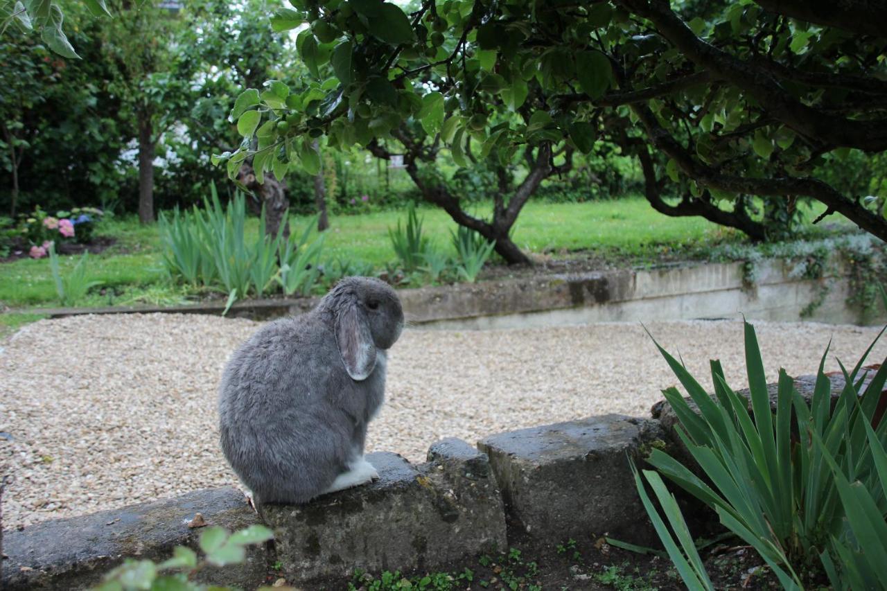 ジヴェルニー Belle Vue Terrasse Bed & Breakfast エクステリア 写真